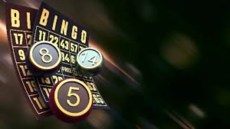 The Evolution of Bingo: From Community Connection to Professional Casinos