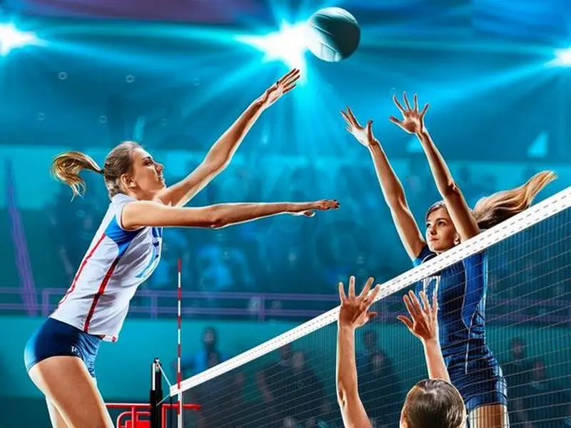 Revealing Volleyball Betting Strategies and Methods from Professionals